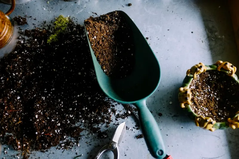 Alltagsbegleiterin von Junior-Senior bei der leichten Gartenarbeit im Garten einer Kundin